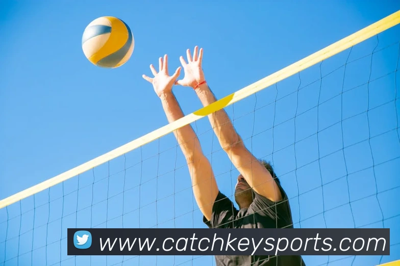 体育下注平台生态图