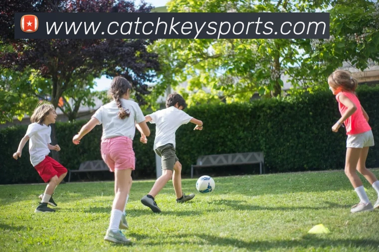 体育下注APP 封面图